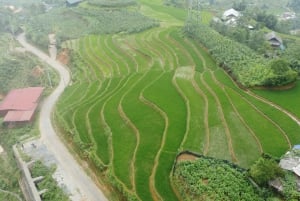 Z Hanoi: Sapa 2 dni 1 noc Trekking z lokalną ludnością