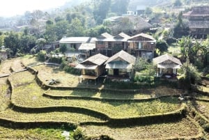 Från Hanoi: Sapa 2 dagar 1 natt Trekking med lokalbefolkningen