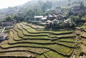 Z Hanoi: Sapa 2 dni 1 noc Trekking z lokalną ludnością