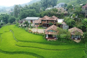 Fra Hanoi: Sapa 3 dager 2 netter med trekking i landsby