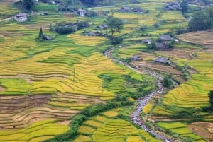 Hanoi: 3-dages Sapa-eventyr – Lao Chai, Cat Cat og Fansipan-bjergtoppen