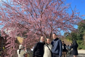 Ab Hanoi: Ha Giang Loop 3-Tage 2-Nächte Tour mit Easy Rider