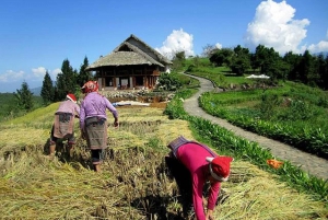 From Hanoi: Sapa Hill Tribes 2-Day Tour by Overnight Train