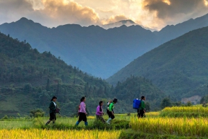 Fra Hanoi: Sapa Hill Tribes 2-dages tur med tog natten over