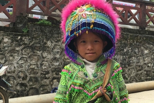 De Hanói: excursão de dois dias às tribos das colinas de Sapa em trem noturno