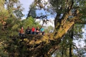 Depuis Hanoï : randonnée sur le mont Ta Lien Son avec un guide local