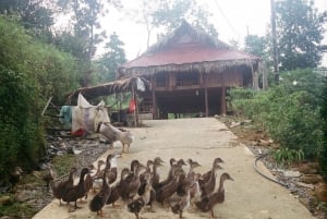 Hanoista Pu Luongiin 3 päivää unohtumattomia kokemuksia