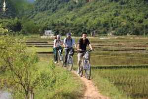 From Hanoi: Trang An Scenic Landscape & Bai Dinh Pagoda Trip