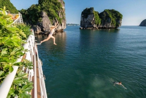 Från Hanoi: Transfer till eller från Cat Ba Island med daglig buss