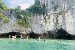 Från Hanoi: Transfer till eller från Cat Ba Island med daglig buss