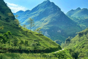 Hanoi: Transfer to/from Ha Giang by Luxury Limousine