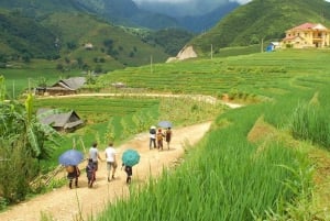 Från Hanoi: Vandring och vistelse: 3-dagars äventyr i Sapa Highlands