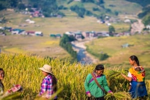 Från Hanoi: Vandring och vistelse: 3-dagars äventyr i Sapa Highlands