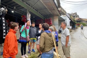 Från Hanoi: Vandring och vistelse: 3-dagars äventyr i Sapa Highlands