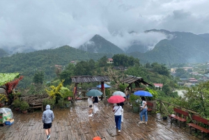 Från Hanoi: Vandring och vistelse: 3-dagars äventyr i Sapa Highlands