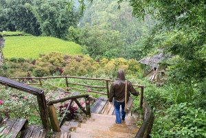 Från Hanoi: Vandring och vistelse: 3-dagars äventyr i Sapa Highlands