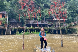 Från Hanoi: Vandring och vistelse: 3-dagars äventyr i Sapa Highlands