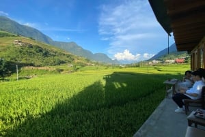 Från Hanoi: Vandring och vistelse: 3-dagars äventyr i Sapa Highlands