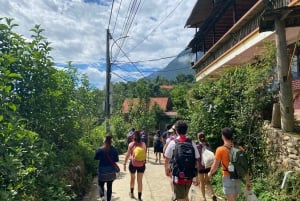 Från Hanoi: Vandring och vistelse: 3-dagars äventyr i Sapa Highlands