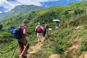 Från Hanoi: Vandring och vistelse: 3-dagars äventyr i Sapa Highlands