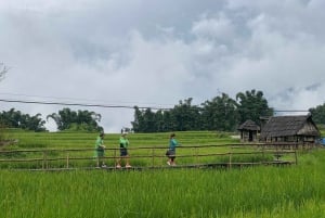 Från Hanoi: Vandring och vistelse: 3-dagars äventyr i Sapa Highlands