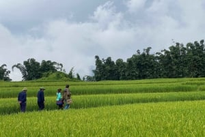 Från Hanoi: Vandring och vistelse: 3-dagars äventyr i Sapa Highlands