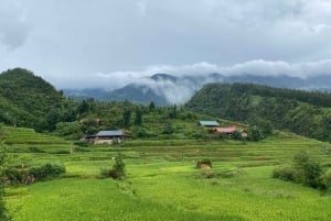 Från Hanoi: Vandring och vistelse: 3-dagars äventyr i Sapa Highlands