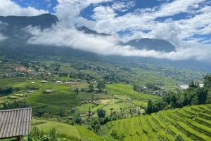 Från Hanoi: Vandring och vistelse: 3-dagars äventyr i Sapa Highlands