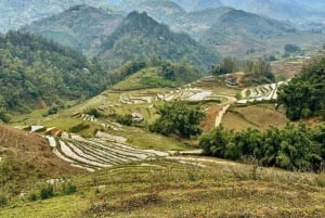 From Hanoi: Trek and Stay: 3-Day Sapa Highlands Adventure