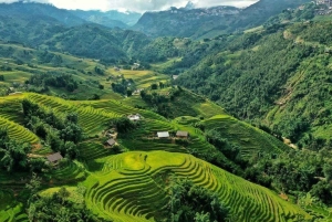 Von Hanoi aus: Wanderung und Übernachtung: 3-tägiges Abenteuer in den Sapa-Hochländern