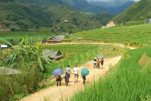 Von Hanoi aus: Wanderung und Übernachtung: 3-tägiges Abenteuer in den Sapa-Hochländern
