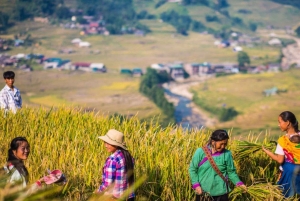 Von Hanoi aus: Wanderung und Übernachtung: 3-tägiges Abenteuer in den Sapa-Hochländern