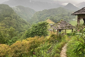 Von Hanoi aus: Wanderung und Übernachtung: 3-tägiges Abenteuer in den Sapa-Hochländern
