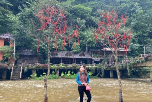 Von Hanoi aus: Wanderung und Übernachtung: 3-tägiges Abenteuer in den Sapa-Hochländern