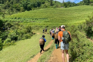 Von Hanoi aus: Wanderung und Übernachtung: 3-tägiges Abenteuer in den Sapa-Hochländern