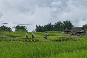 Von Hanoi aus: Wanderung und Übernachtung: 3-tägiges Abenteuer in den Sapa-Hochländern