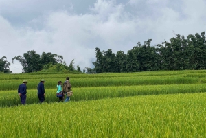 Von Hanoi aus: Wanderung und Übernachtung: 3-tägiges Abenteuer in den Sapa-Hochländern