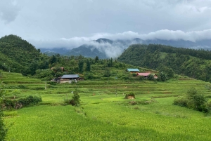 Von Hanoi aus: Wanderung und Übernachtung: 3-tägiges Abenteuer in den Sapa-Hochländern