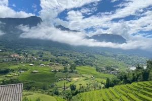 Von Hanoi aus: Wanderung und Übernachtung: 3-tägiges Abenteuer in den Sapa-Hochländern