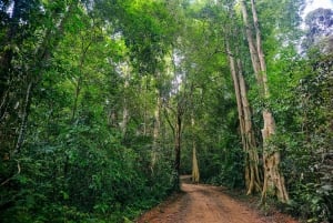 Au départ de HCM : excursion dans la jungle du parc de Cat Tien avec option 2D1N