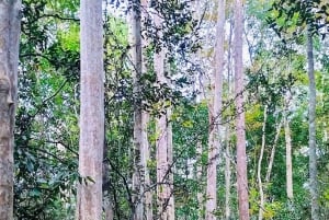 Au départ de HCM : excursion dans la jungle du parc de Cat Tien avec option 2D1N