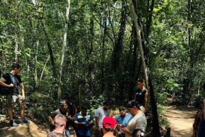 Fra HCM: Tur til Cu Chi-tunnellerne og en kokosnøddelandsby i Mekongdeltaet