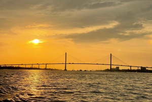 Visite des tunnels de Củ Chi et du delta du Mékong avec option limousine VIP