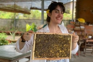 Cidade de Ho Chi Minh: Descobre o Delta do Mekong e a Aldeia dos Cocos