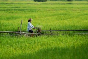 HCM:stä: Mekongin suisto ja Cai Rangin kelluvat markkinat 2 päivän retki