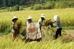 De HCM: Delta do Mekong e Mercado Flutuante de Cai Rang - Excursão de 2 dias