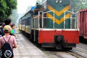 From HCMC: 8-Day Da Nang Tour by Train with Guide