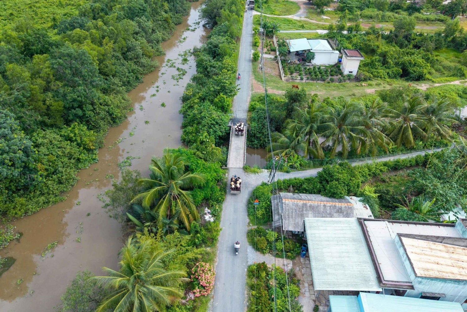 From HCMC: Cu Chi Tunnels& Mekong Delta Small Group Eco Tour