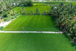 From HCMC: Cu Chi Tunnels& Mekong Delta Small Group Eco Tour