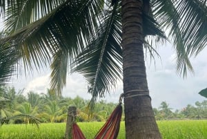 From HCMC: Cu Chi Tunnels& Mekong Delta Small Group Eco Tour